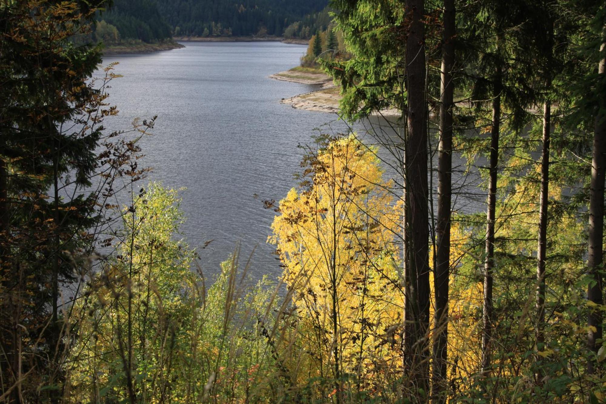 Das Jagdhaus Waldidyll Erzgebirge Hartenstein  Εξωτερικό φωτογραφία